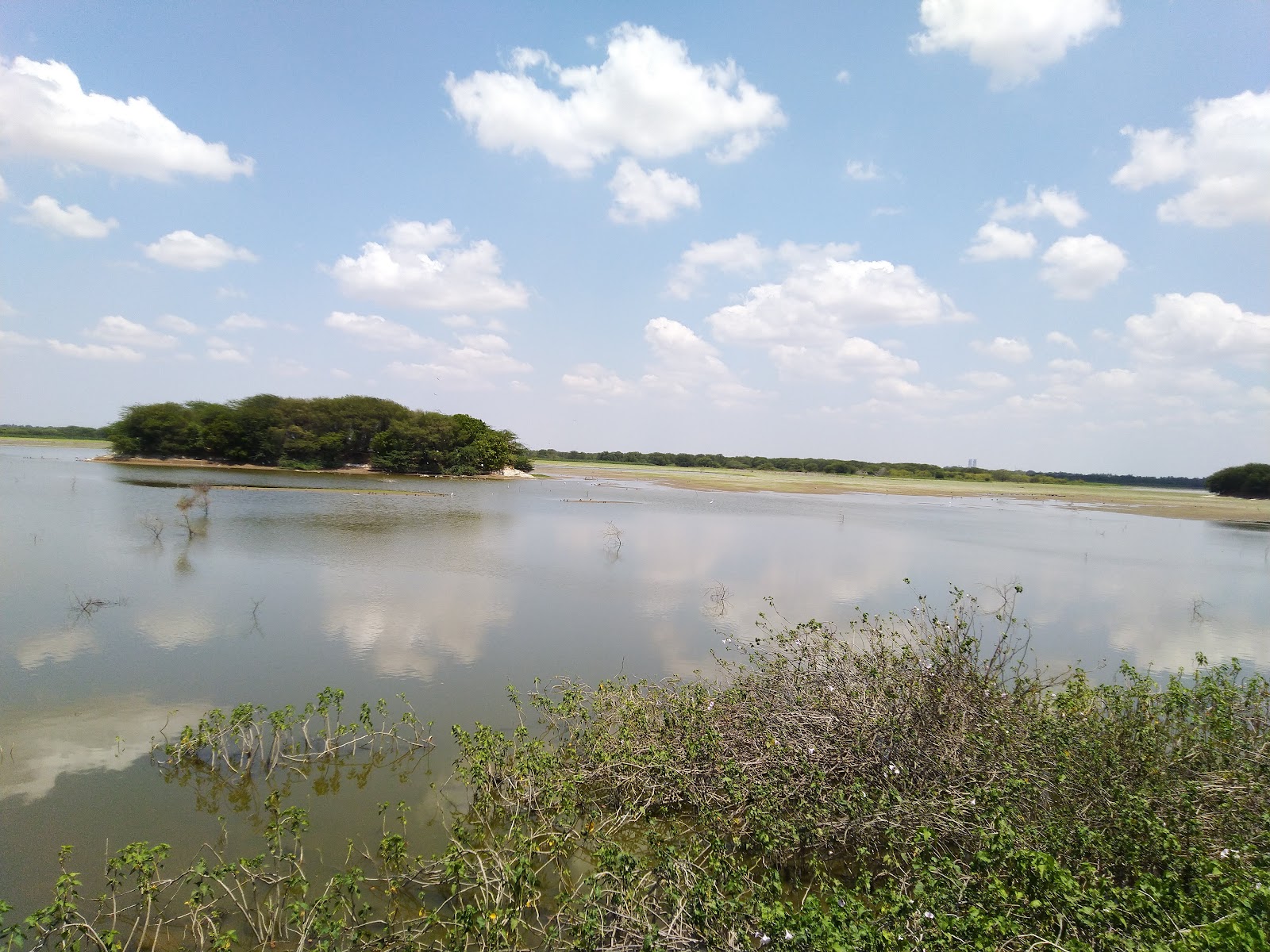 Karaivetti Bird Sanctuary (nearby wetlands)