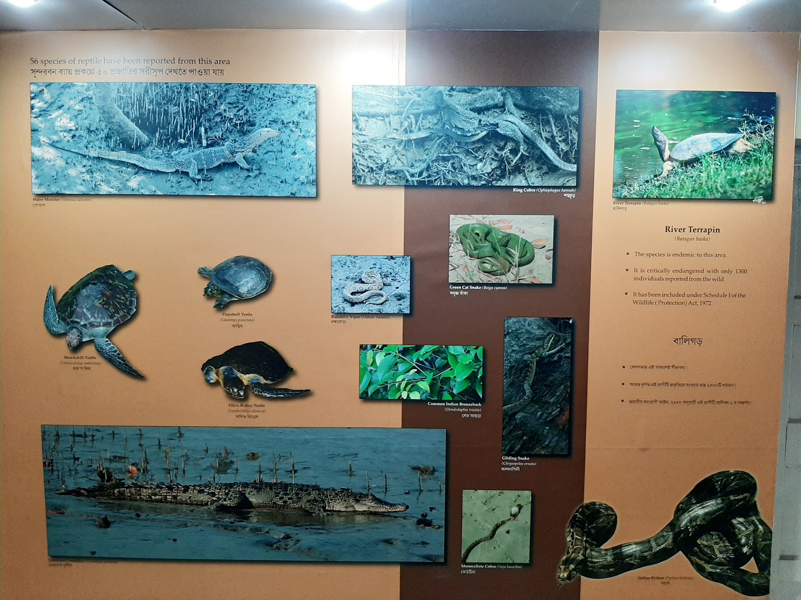 Mangrove Interpretation Centre