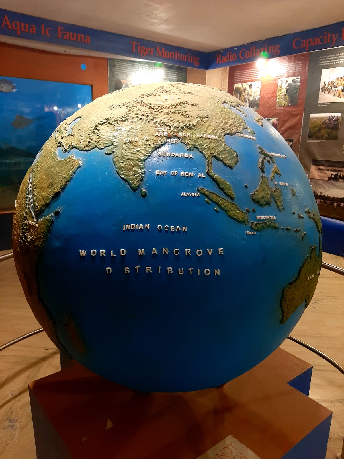 Mangrove Interpretation Centre