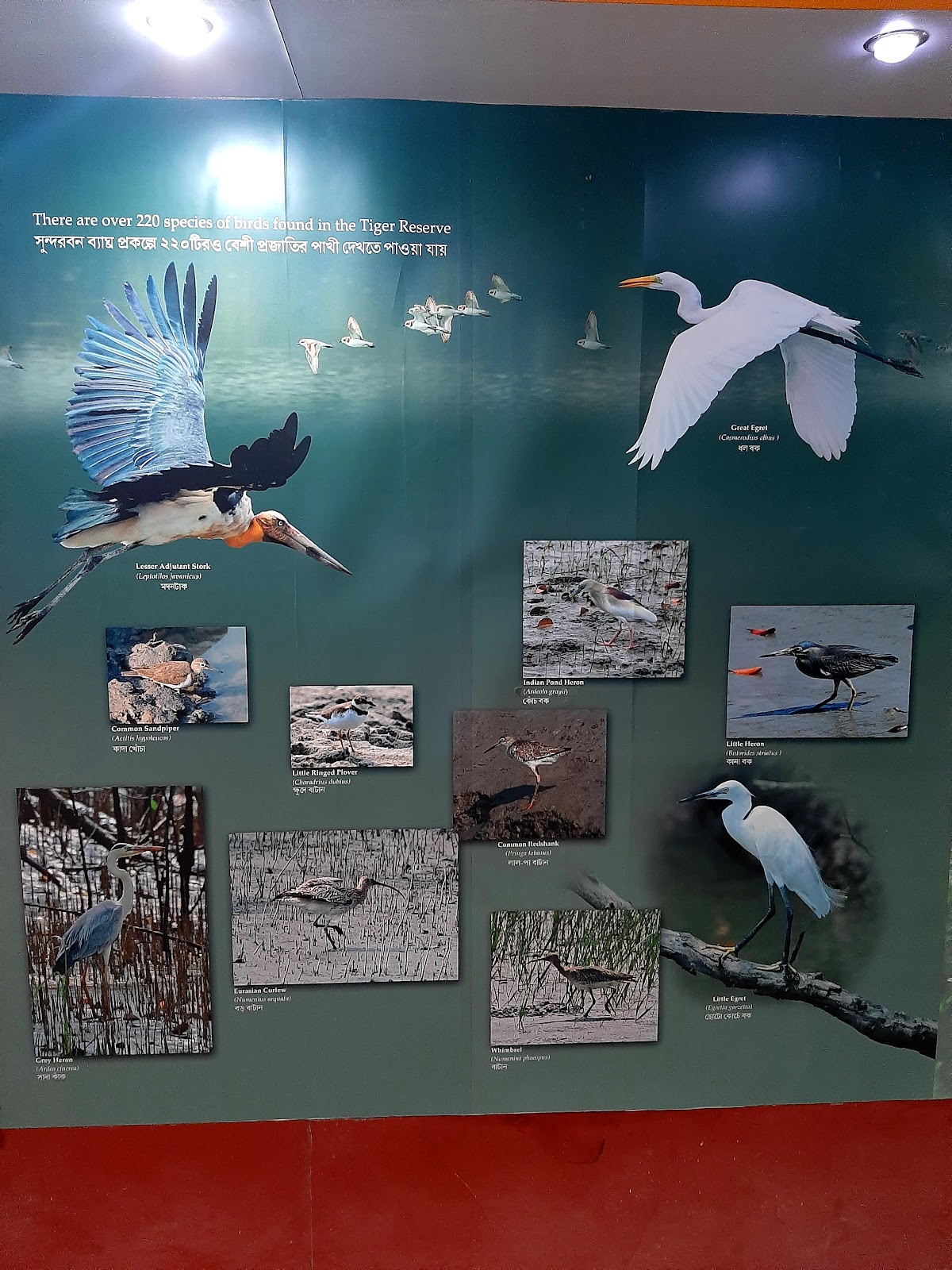 Mangrove Interpretation Centre
