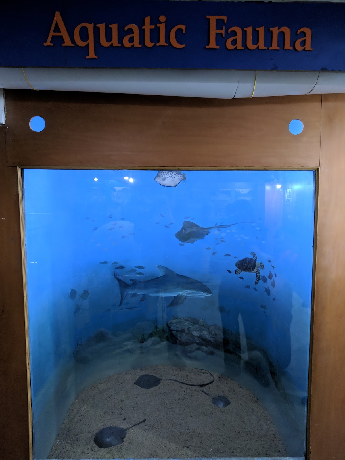 Mangrove Interpretation Centre