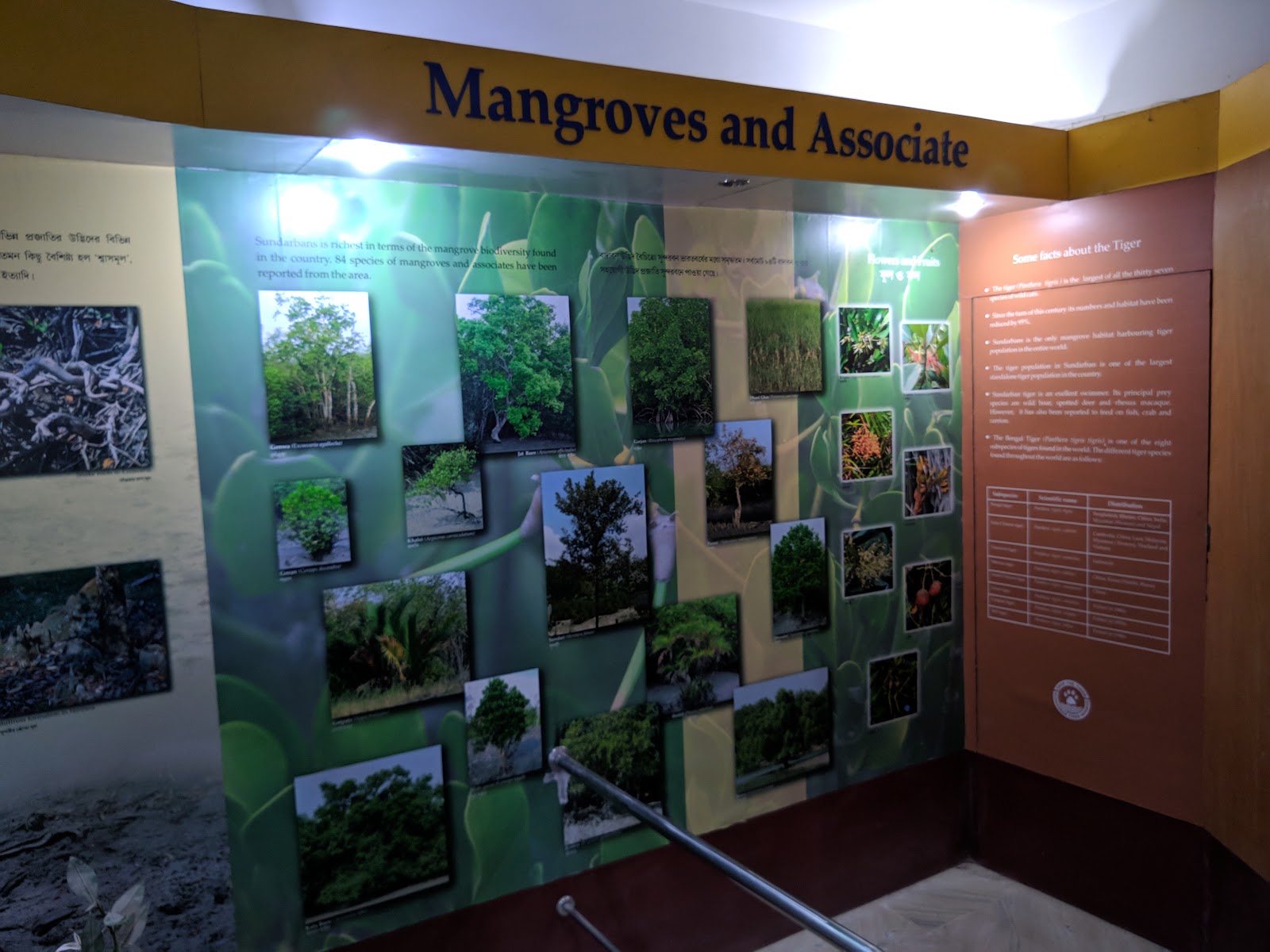 Mangrove Interpretation Centre