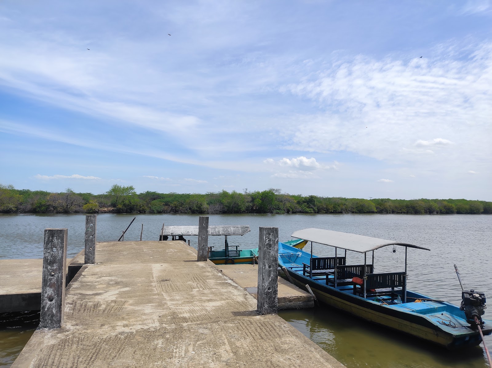 Muthupet Mangrove and Backwaters