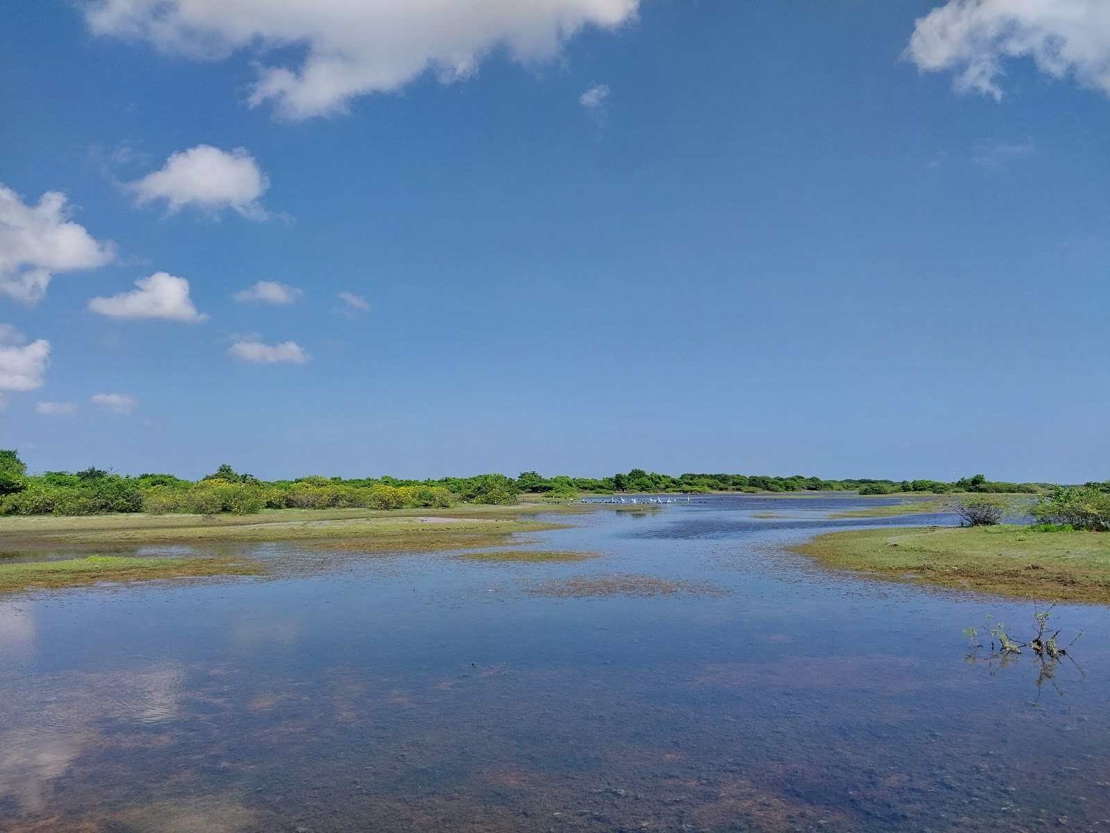 Point Calimere Wildlife and Bird Sanctuary