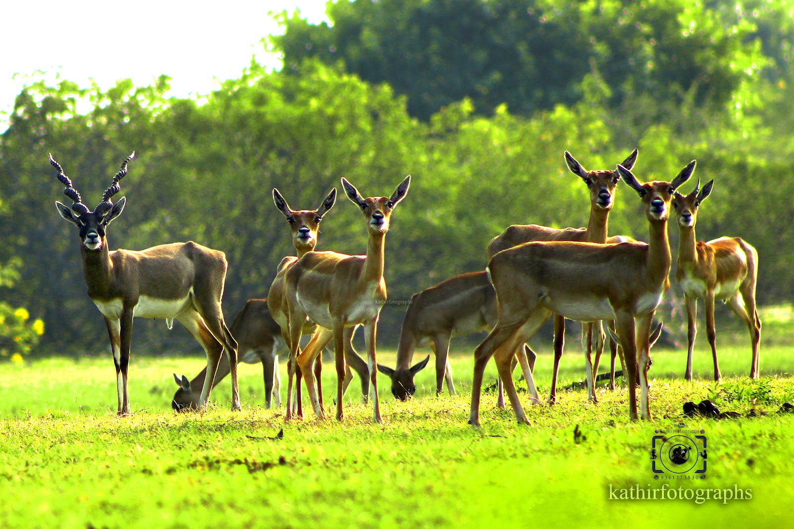 Point Calimere Wildlife and Bird Sanctuary