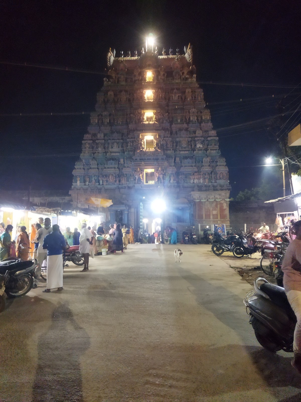 Local Festival Grounds