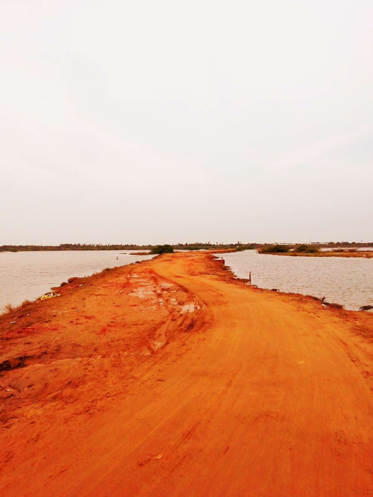 Local Festival Grounds