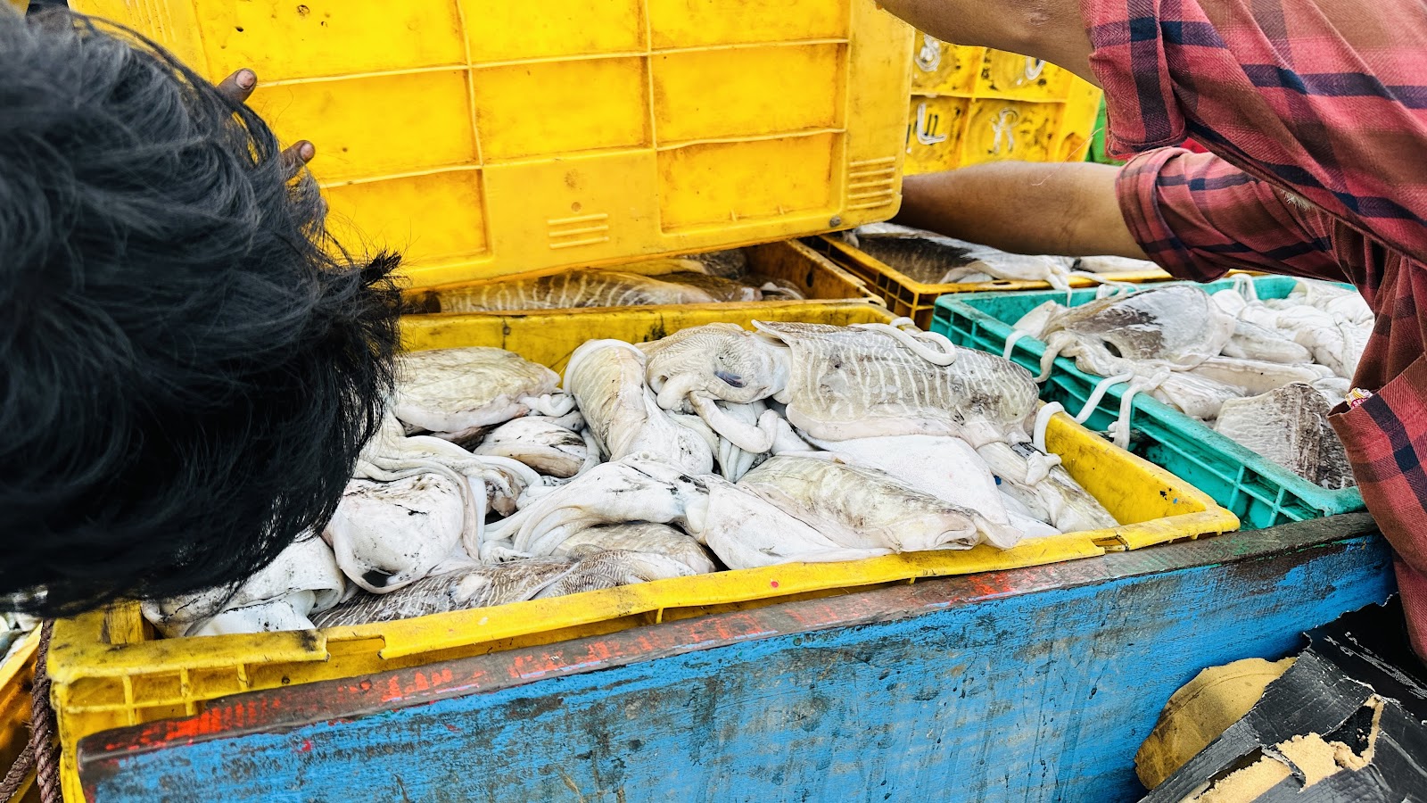 Local Fish Market