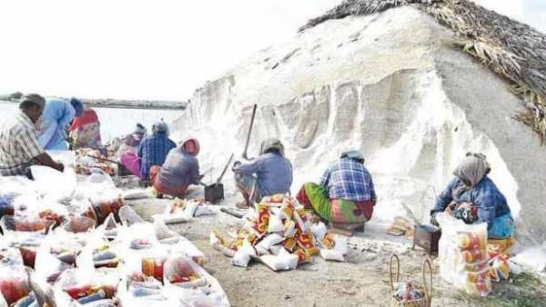 Vedaranyam Salt Pans