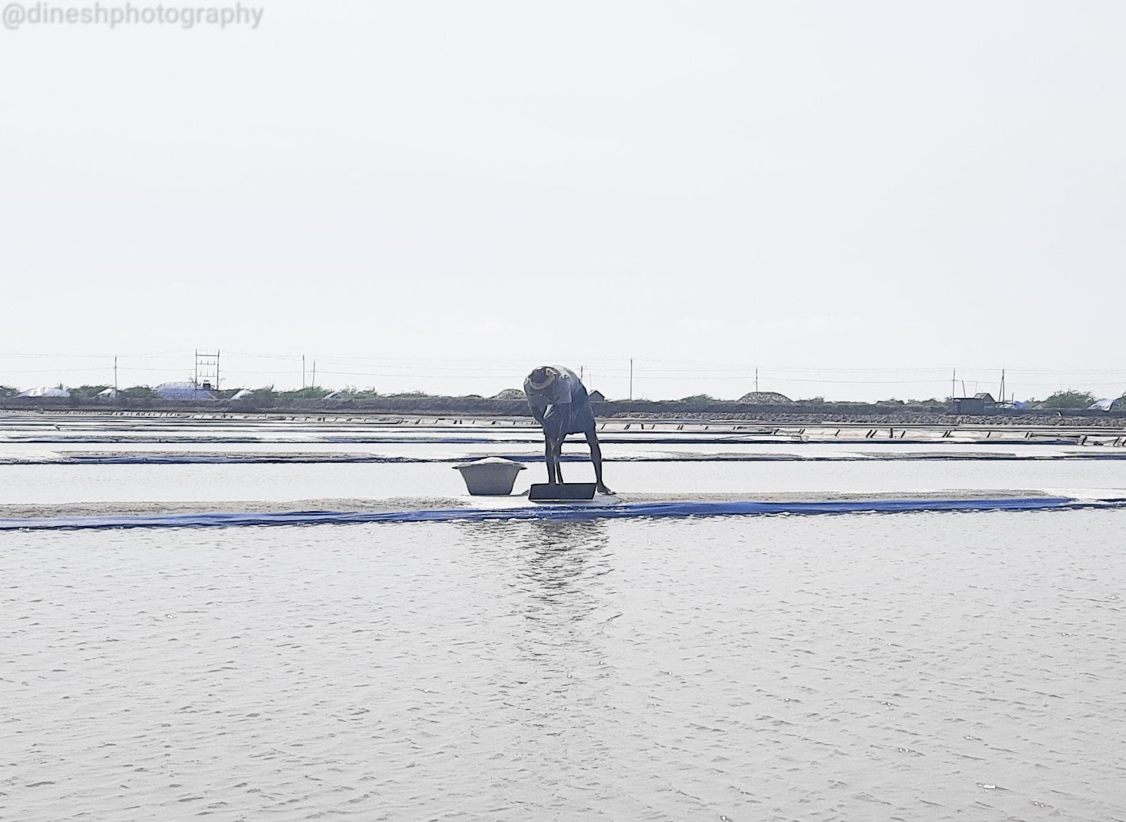 Vedaranyam Salt Pans