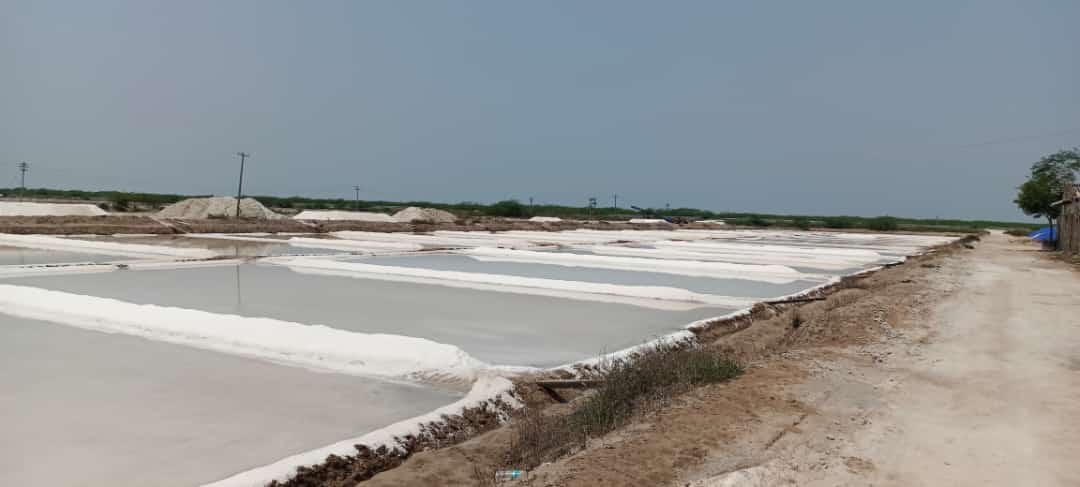 Vedaranyam Salt Pans