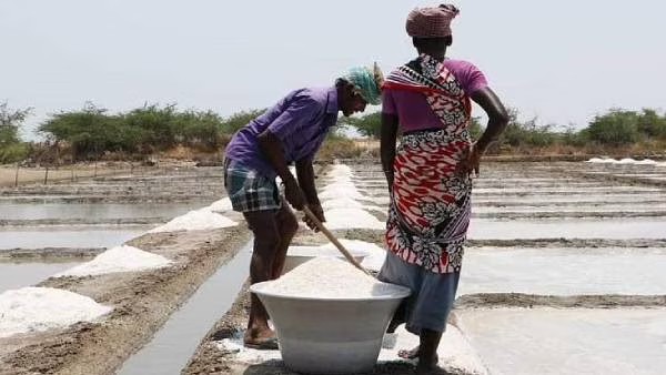 Vedaranyam Salt Pans