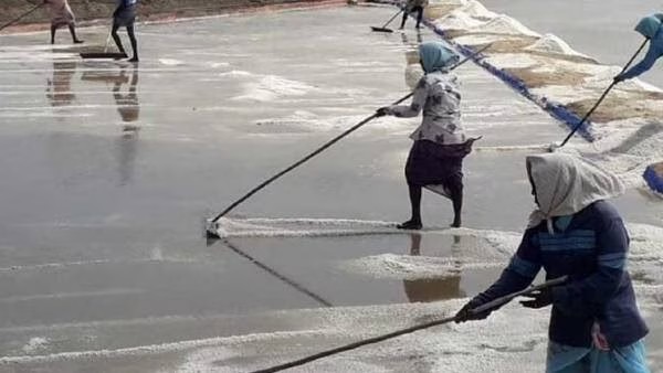 Vedaranyam Salt Pans