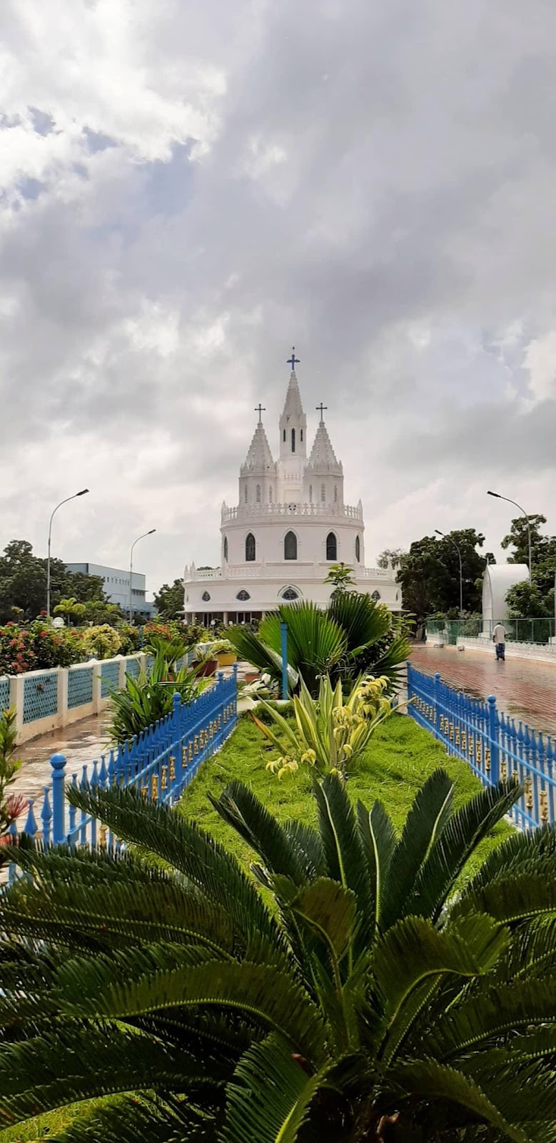 Beachfront Promenade