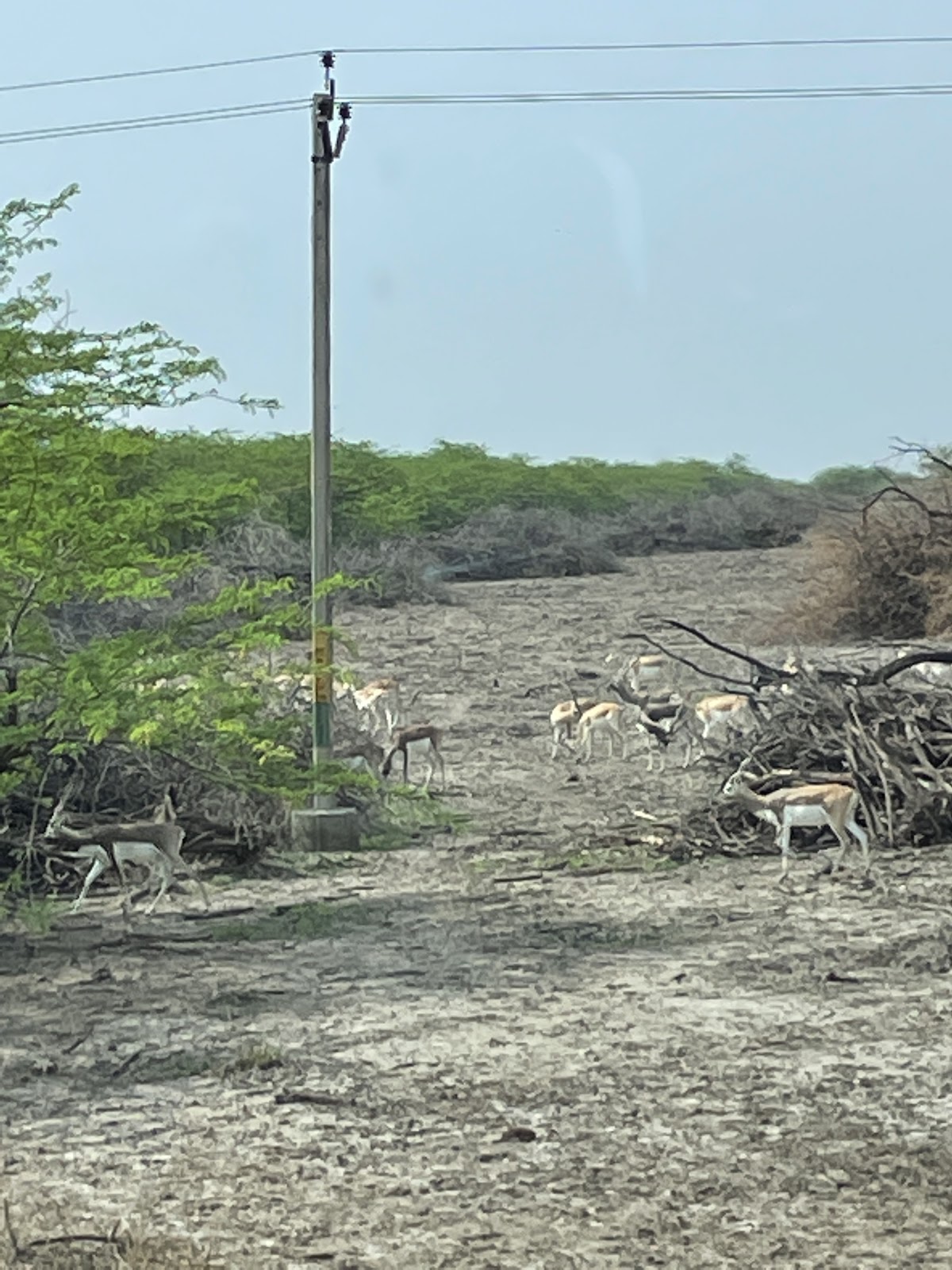 Velavadar Watchtower