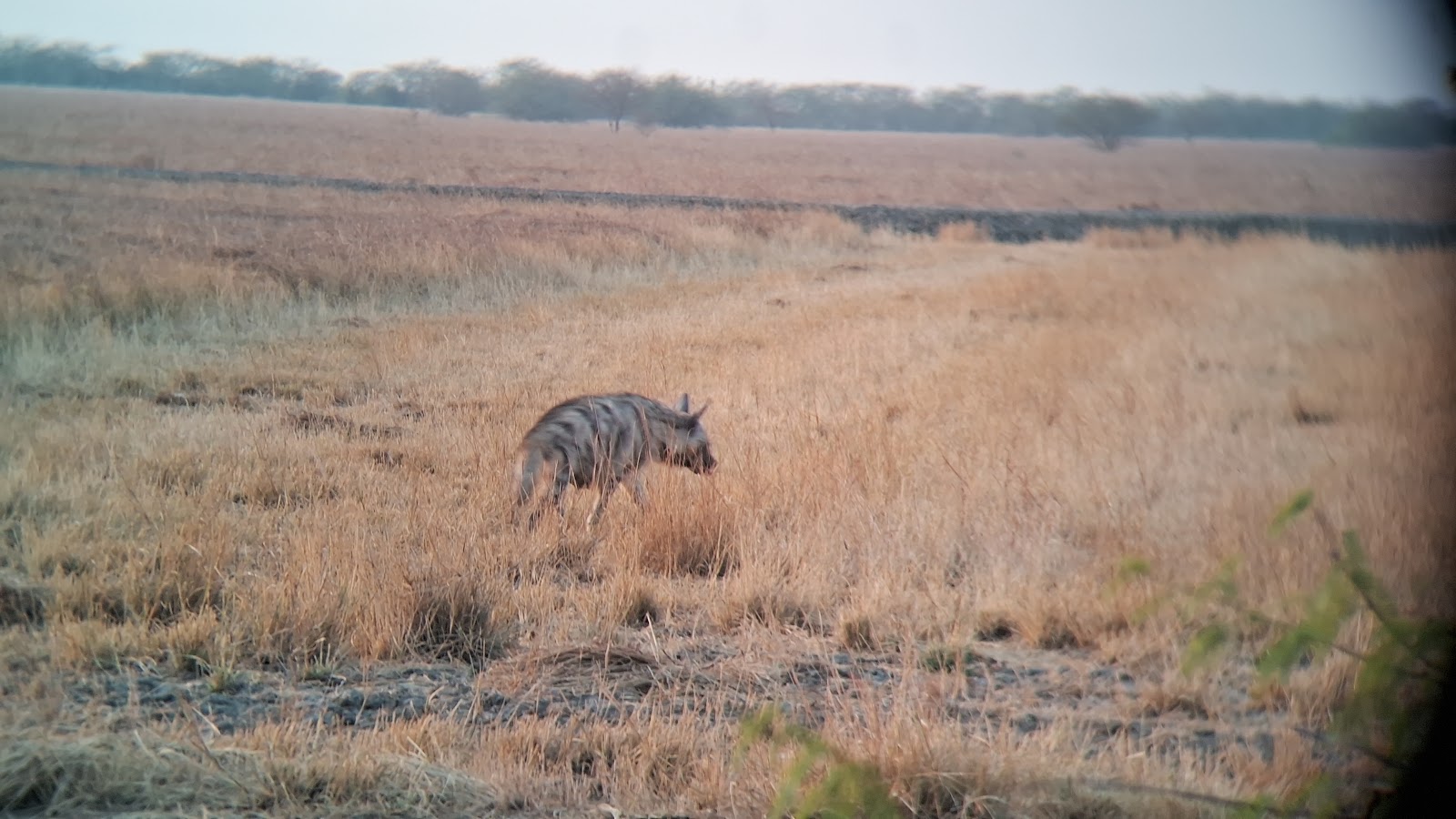 Velavadar Watchtower