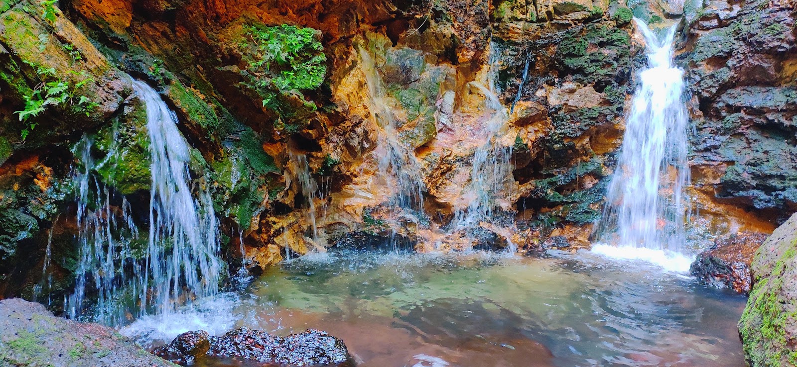 Mangrove Ecology Trail