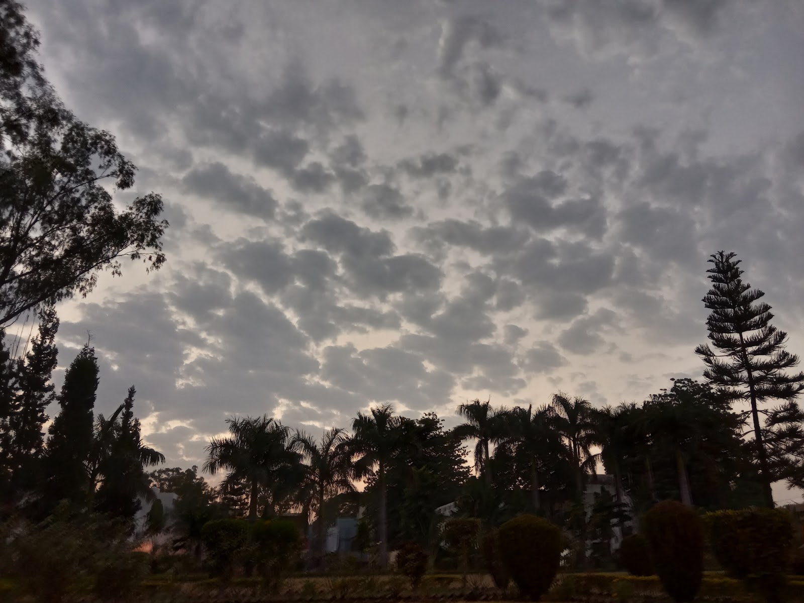 Local Parks