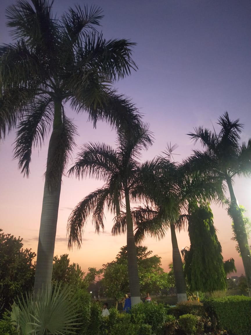 Local Parks