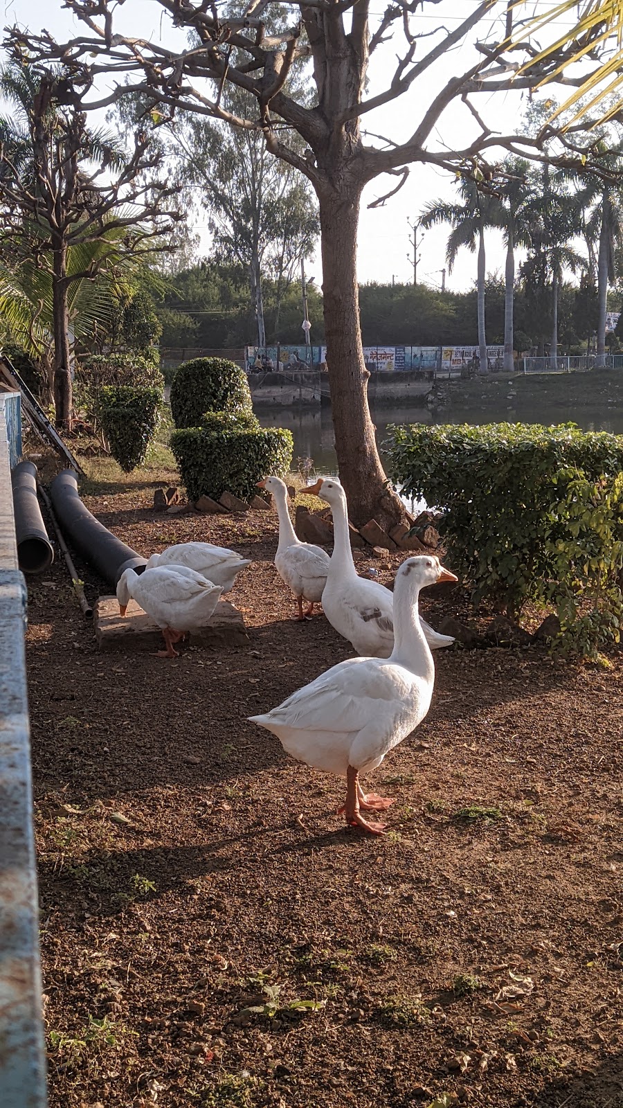 Local Parks