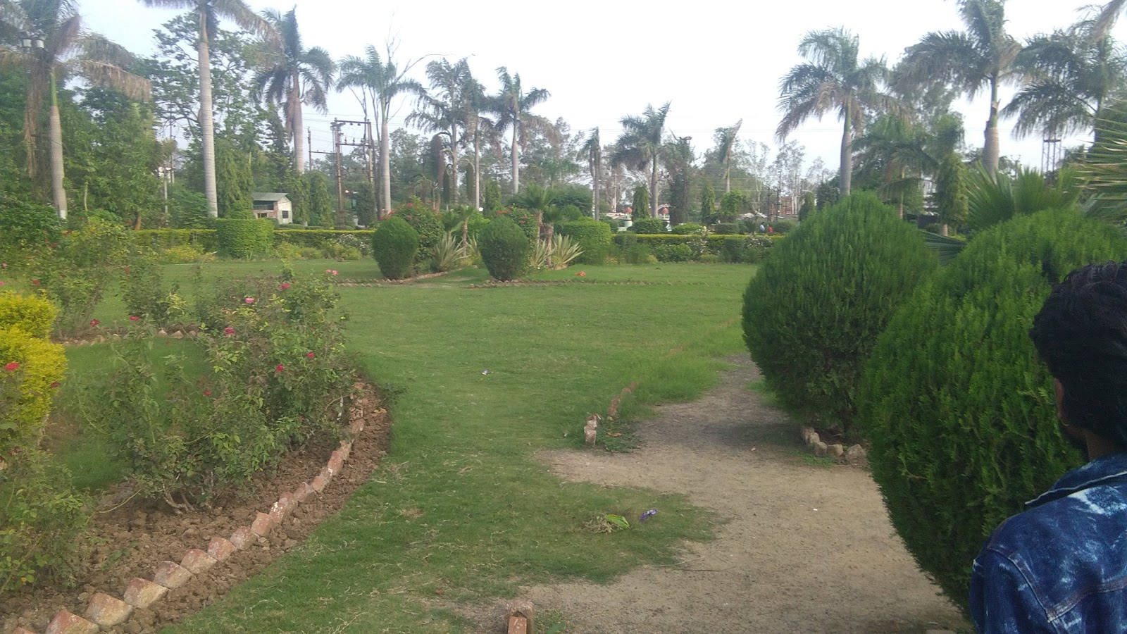 Local Parks