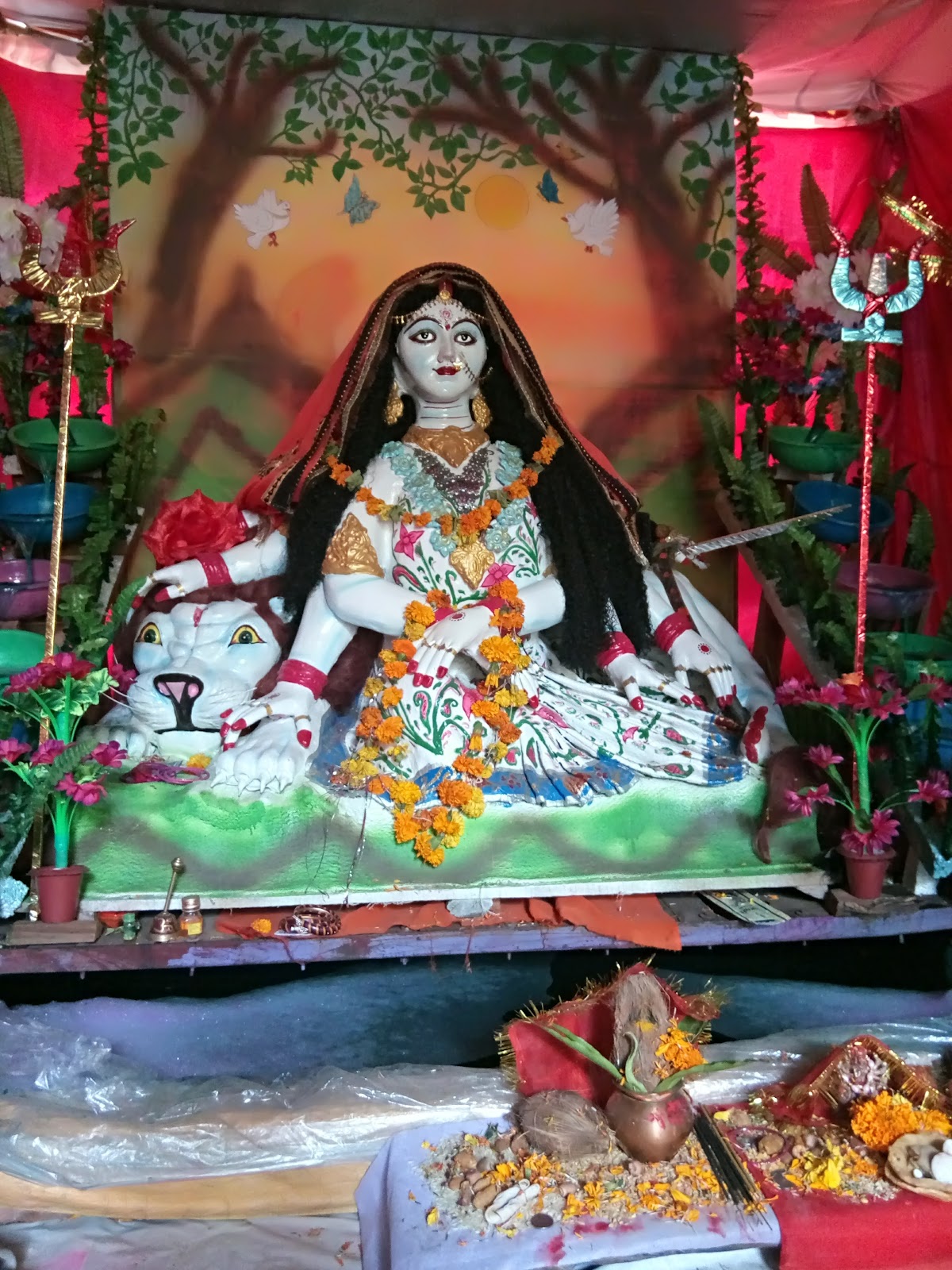 Shri Sankat Mochan Hanuman Mandir