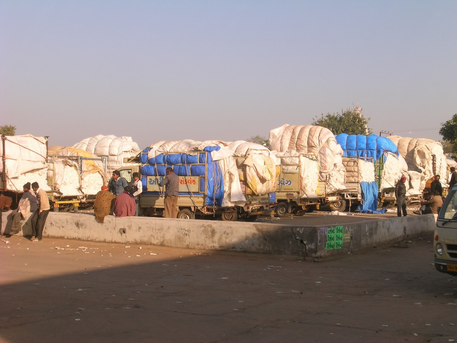 Agricultural Produce Market