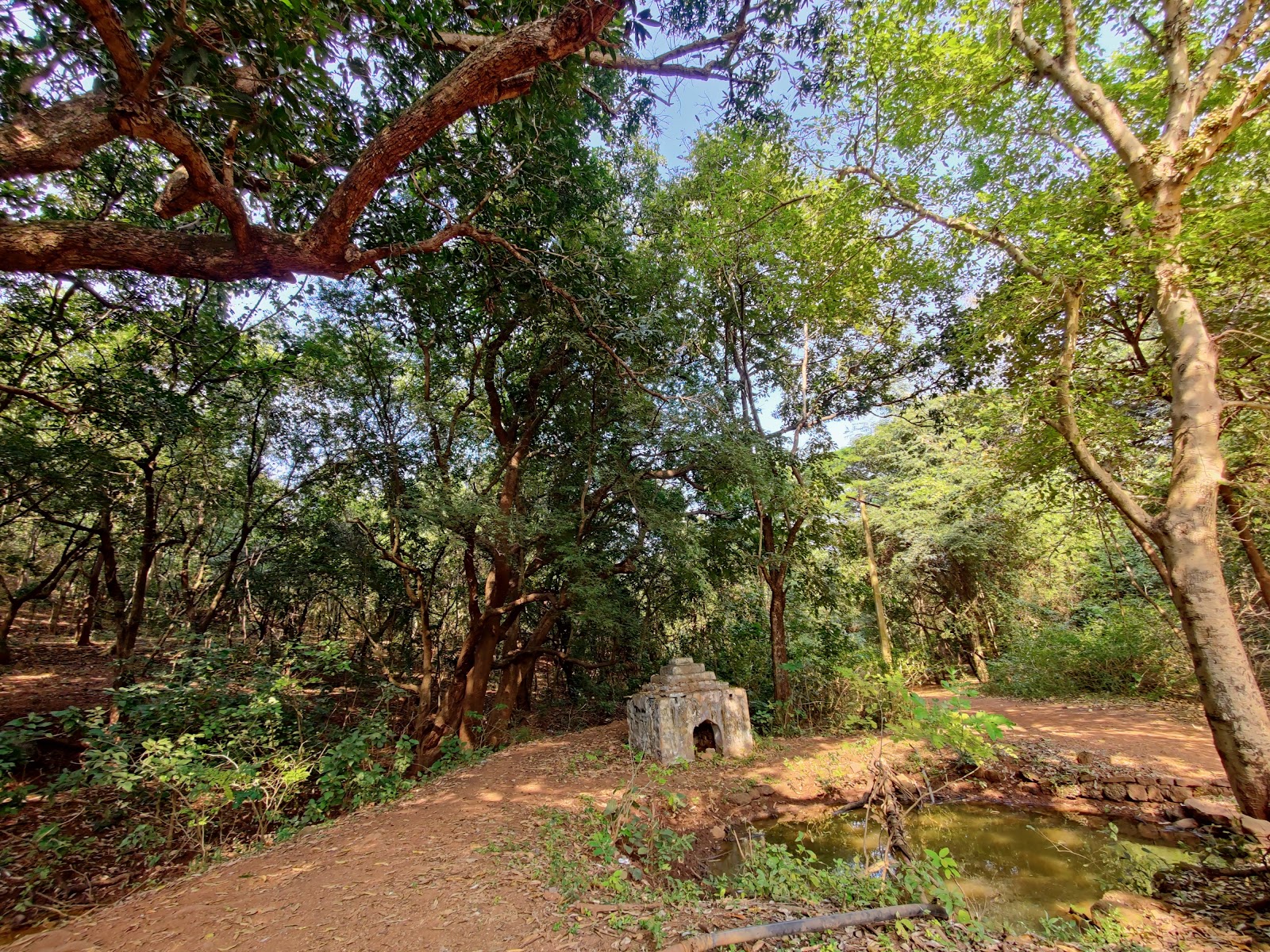 Vikarabad Forest