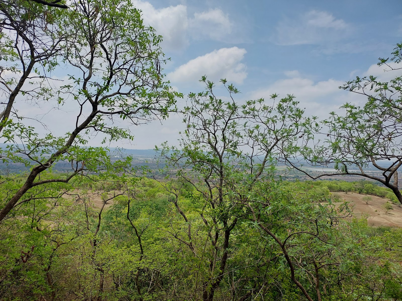 Vikarabad Forest