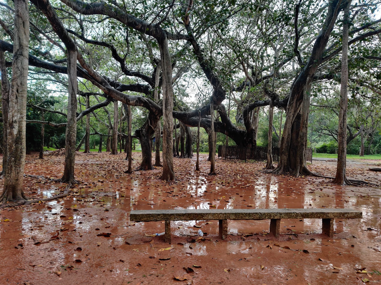 Auroville Matrimandir Auroville Tamil Nadu India