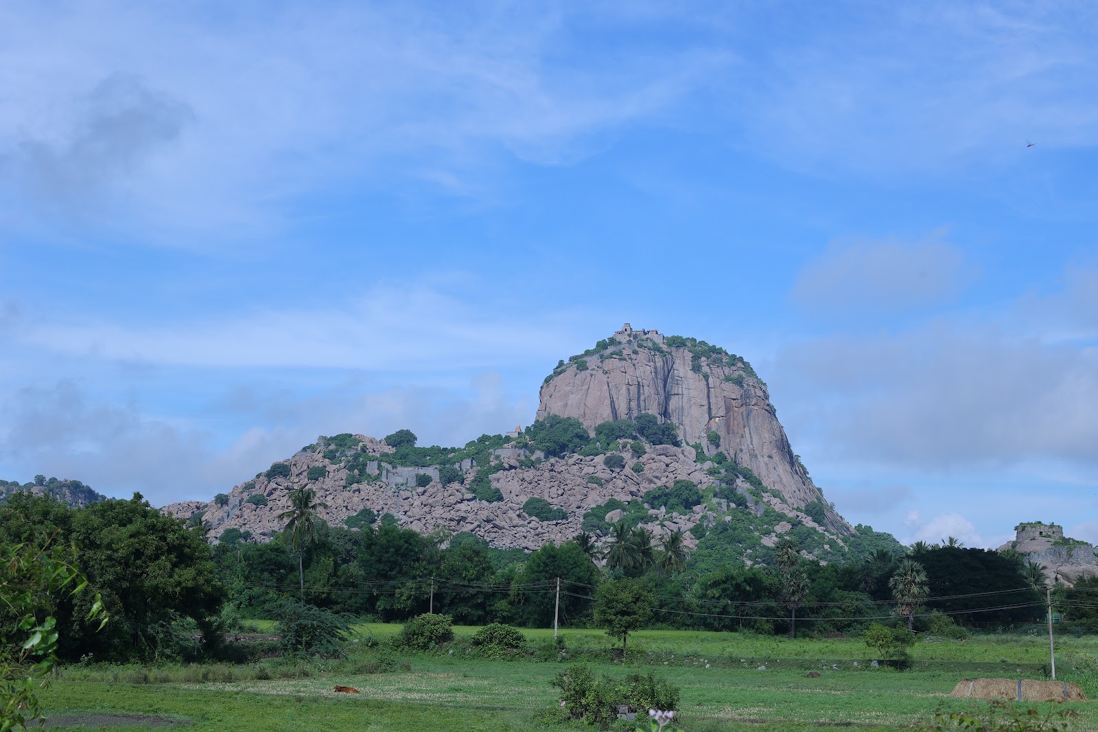 Villupuram - A Cultural Destination in Tamil Nadu