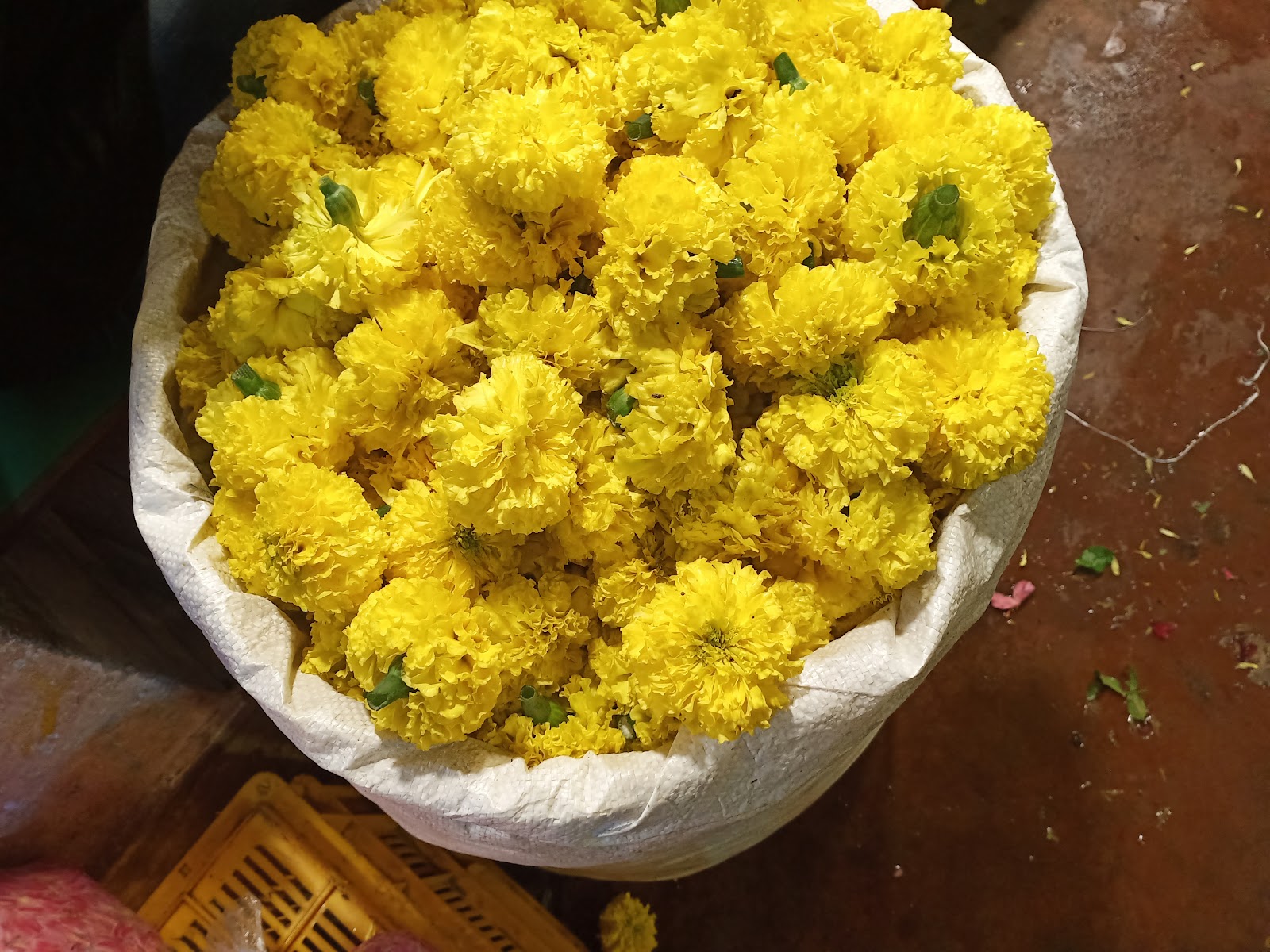 Tindivanam Market Tindivanam Tamil Nadu India