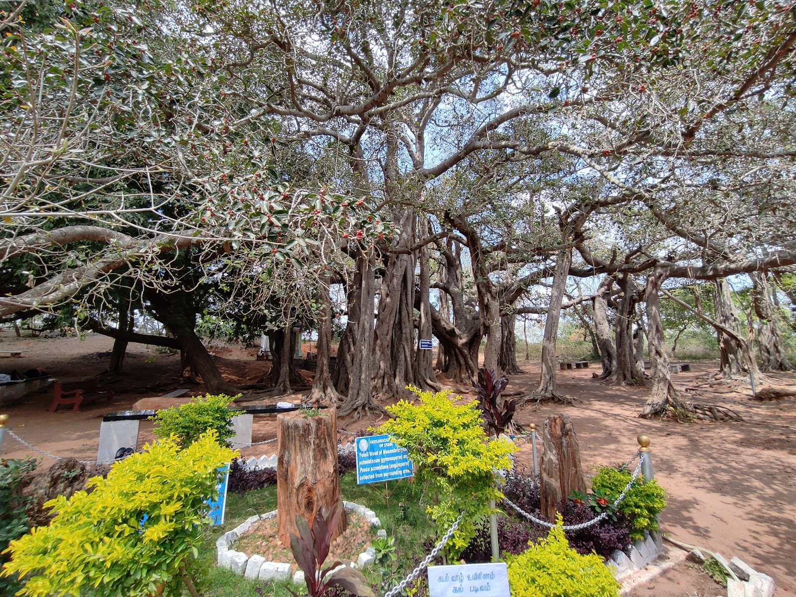 Villupuram Government Museum Villupuram Tamil Nadu India