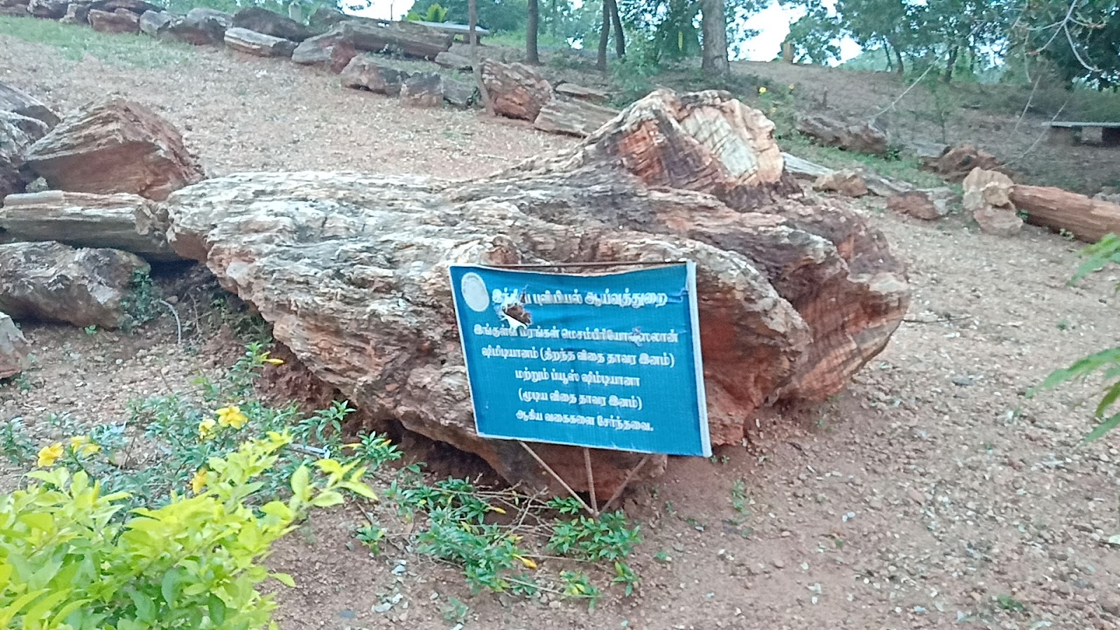 Villupuram Government Museum Villupuram Tamil Nadu India