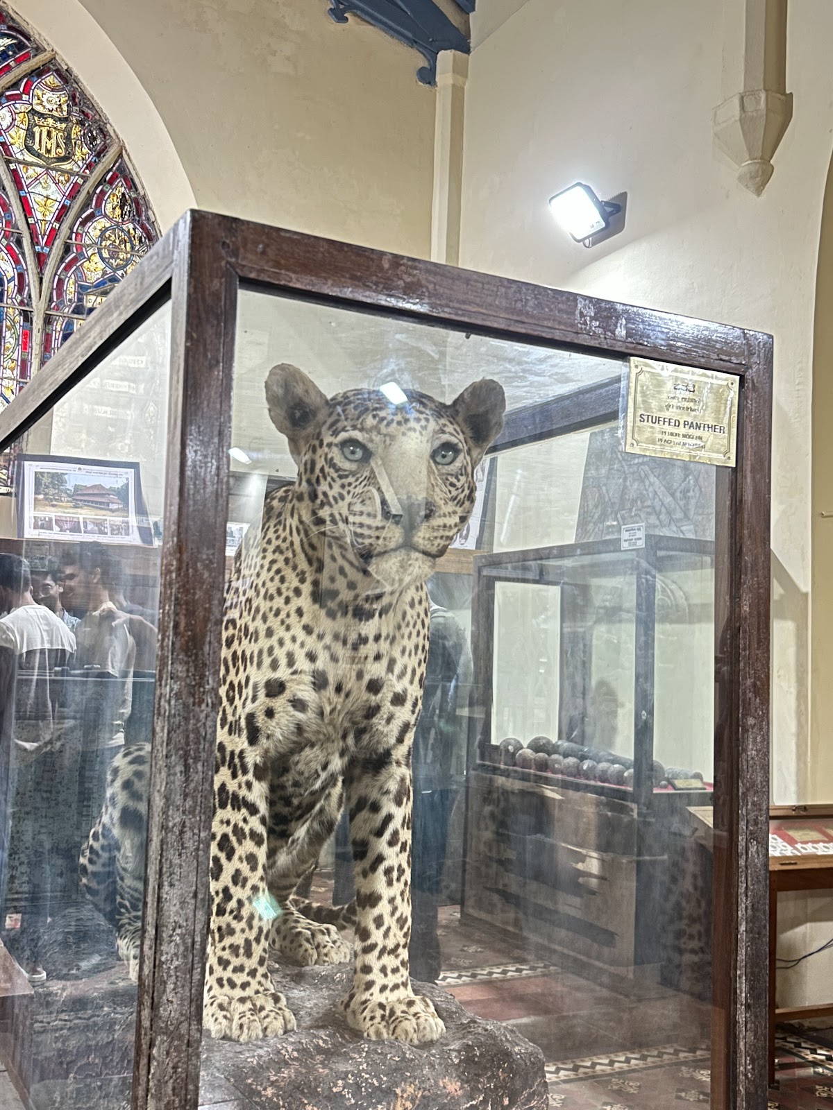 Coorgi Heritage Museum