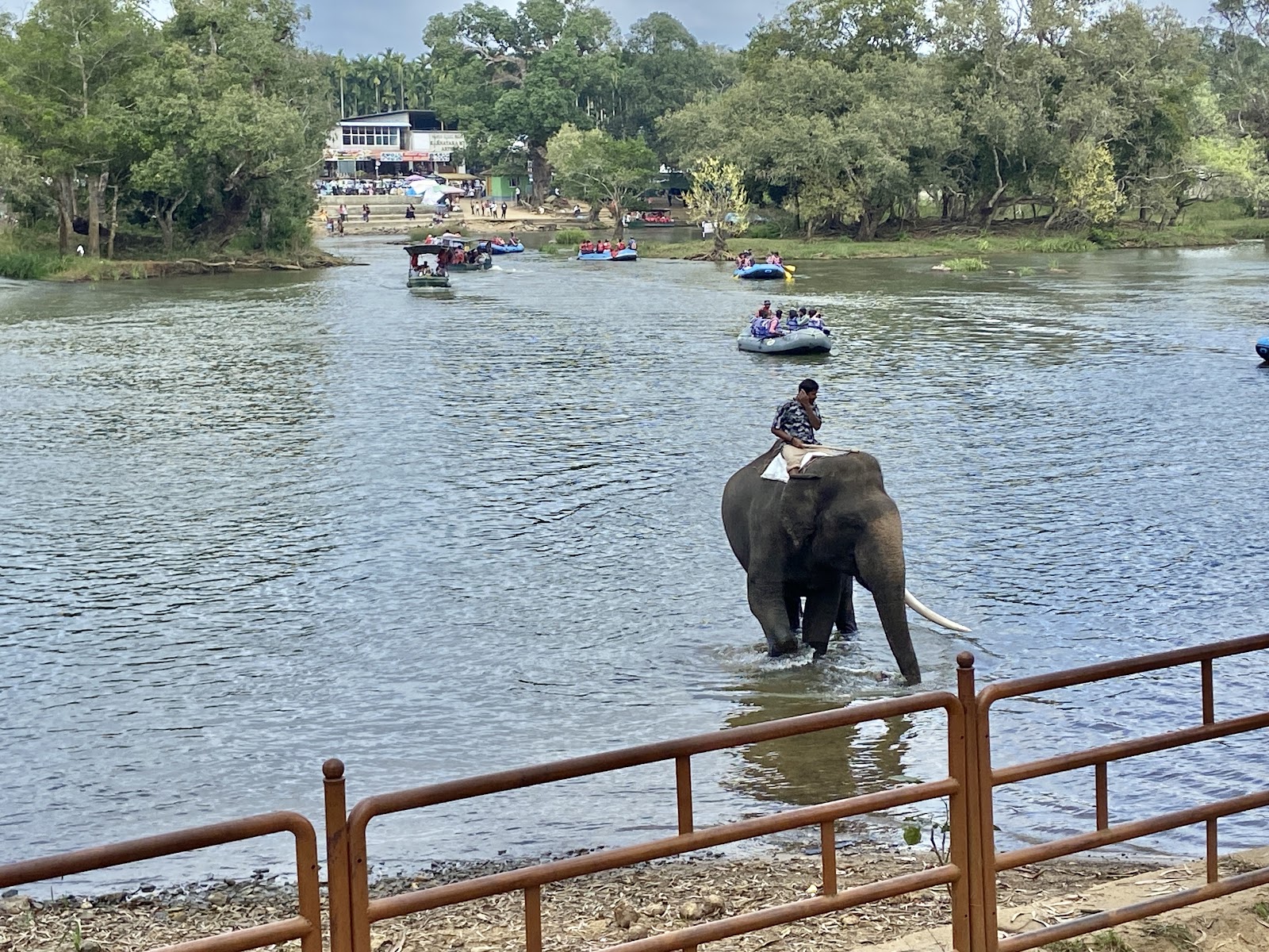 Dubare Elephant Camp