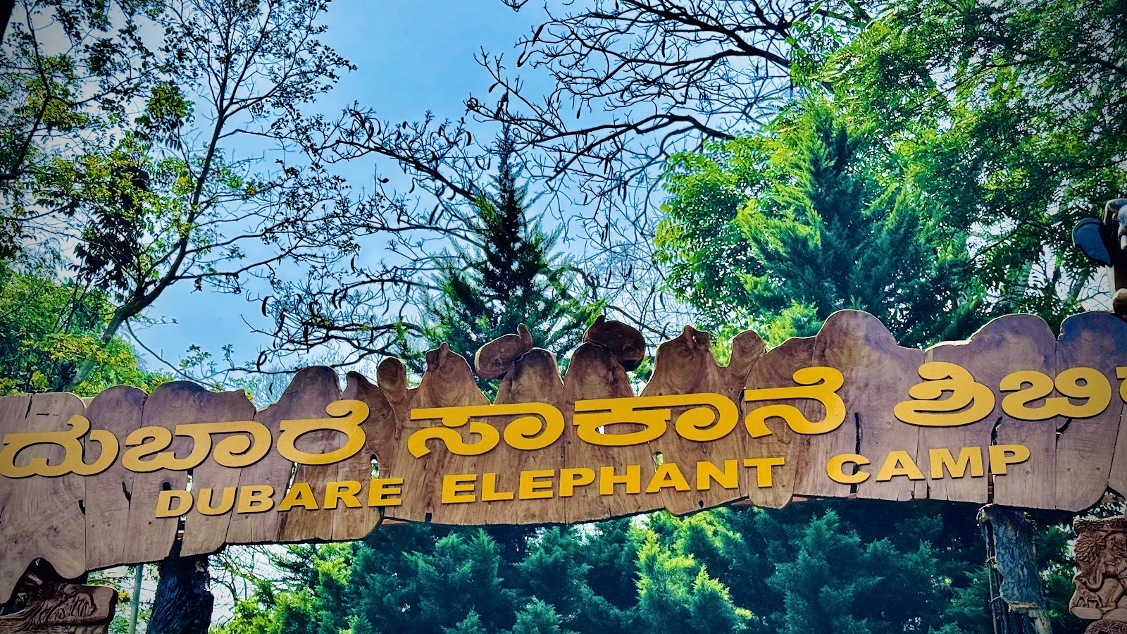 Dubare Elephant Camp