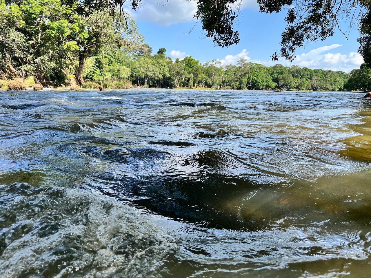 Dubare Elephant Camp