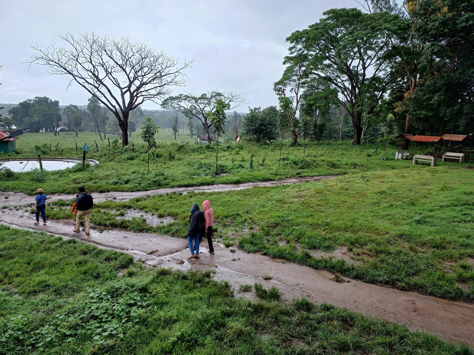 Dubare Elephant Camp