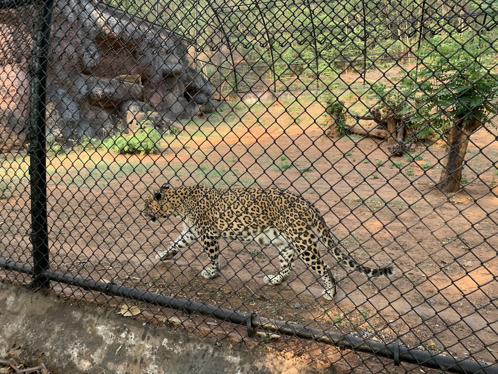 Kambalakonda Wildlife Sanctuary