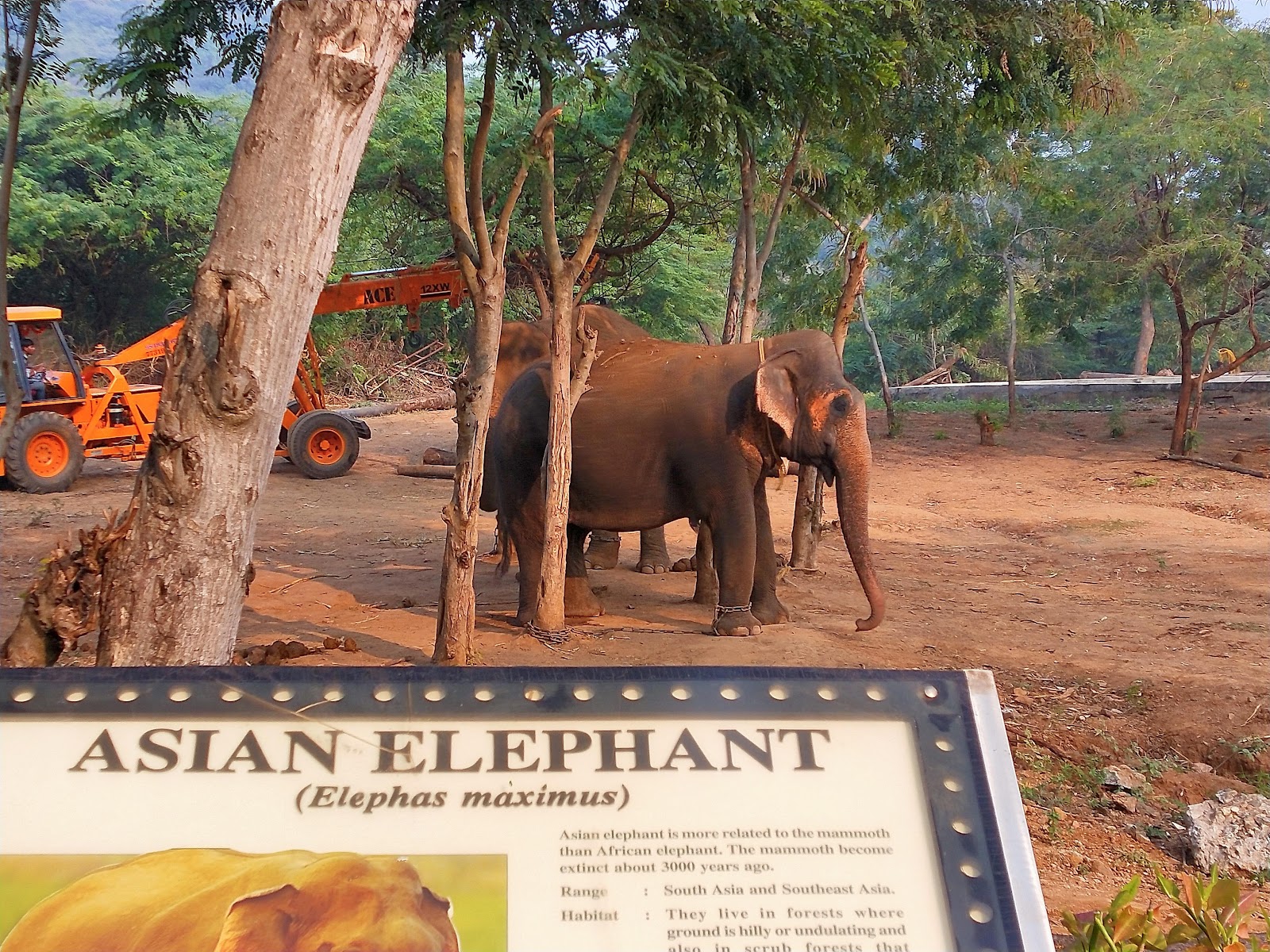 Kambalakonda Wildlife Sanctuary