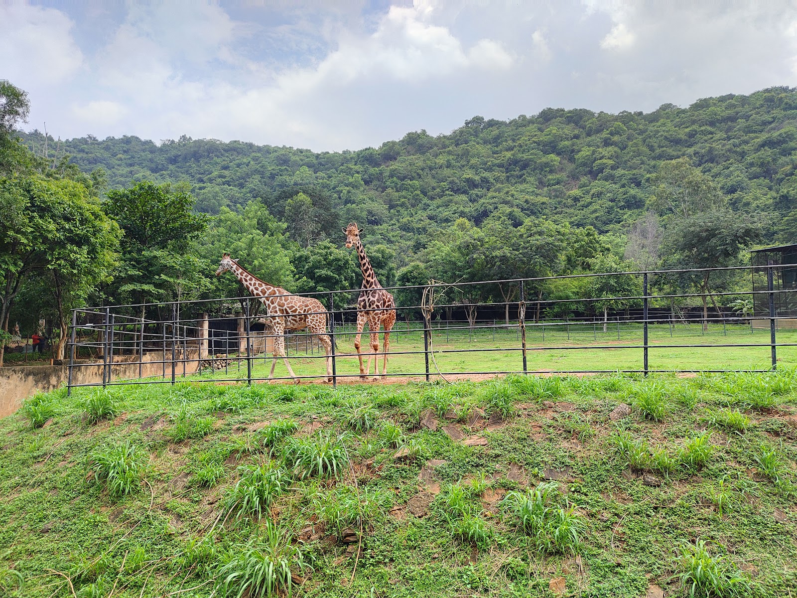 Kambalakonda Wildlife Sanctuary