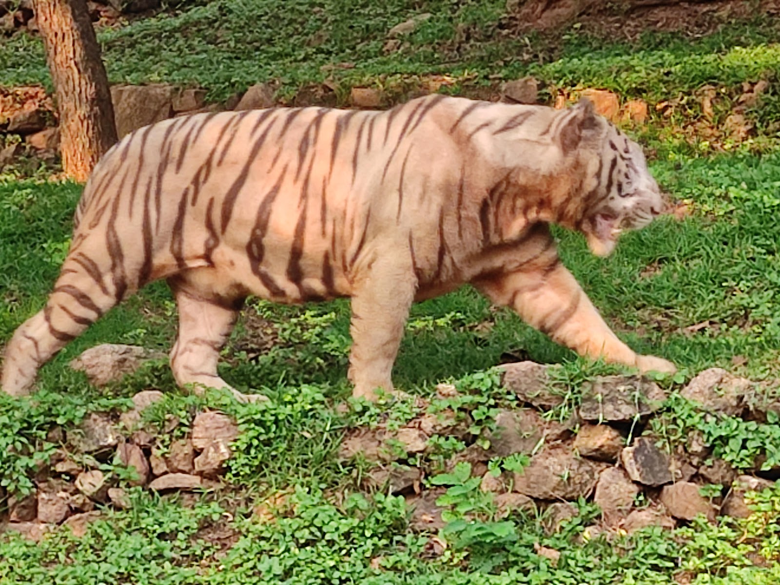 Kambalakonda Wildlife Sanctuary