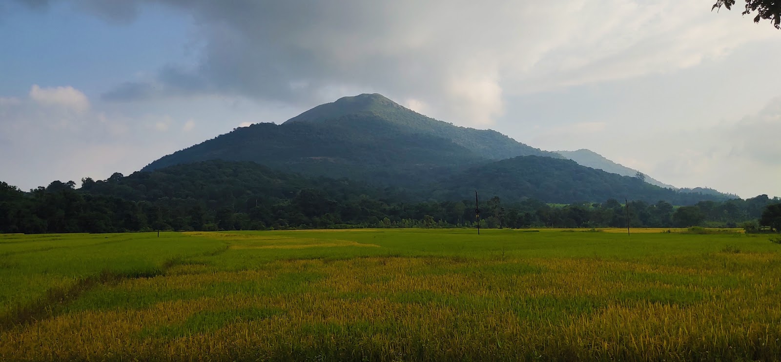 Araku Valley