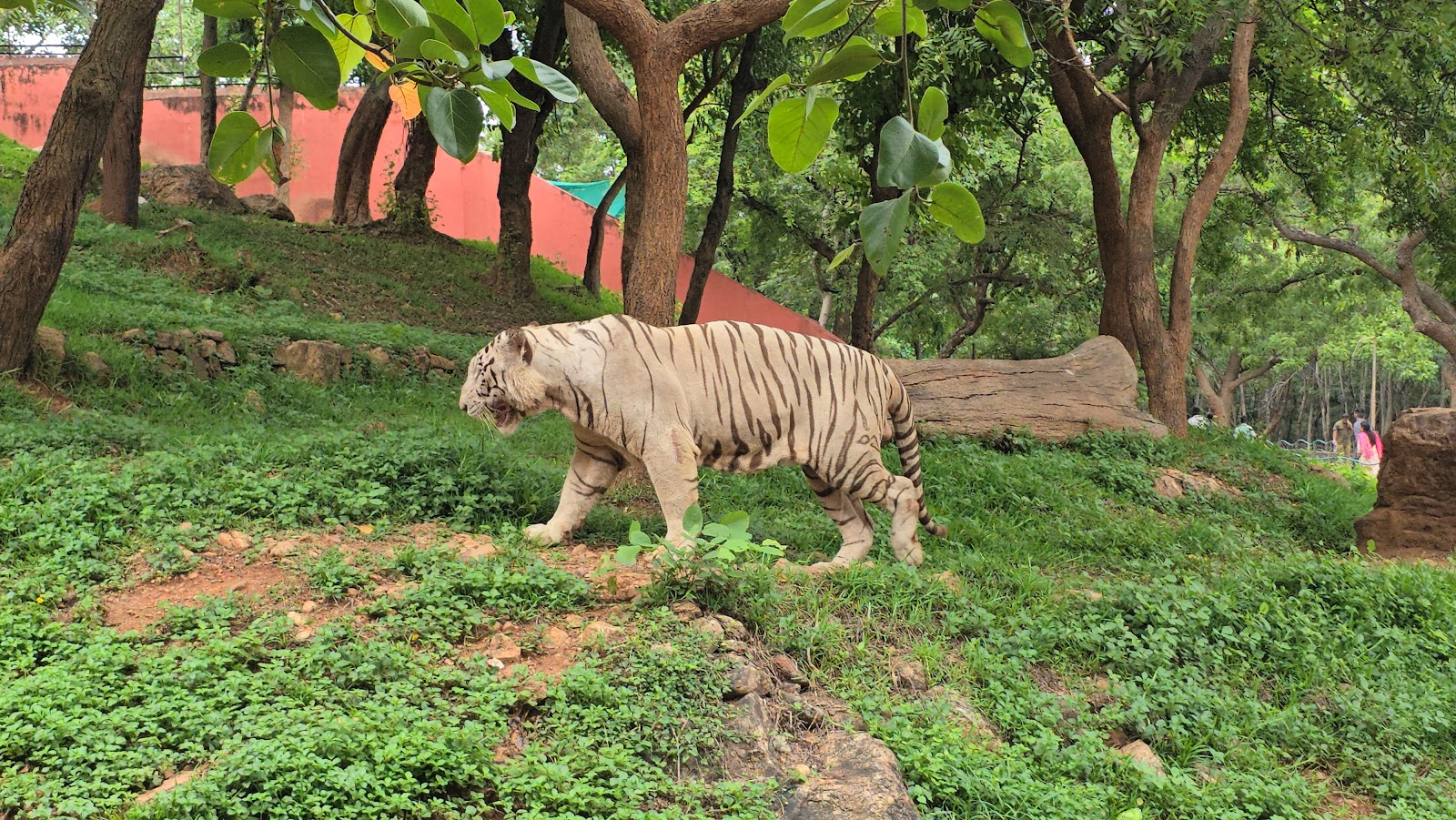 Indira Gandhi Zoological Park