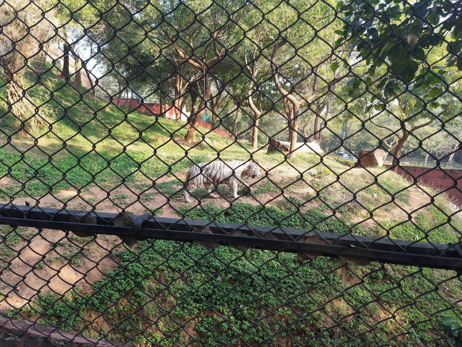 Indira Gandhi Zoological Park