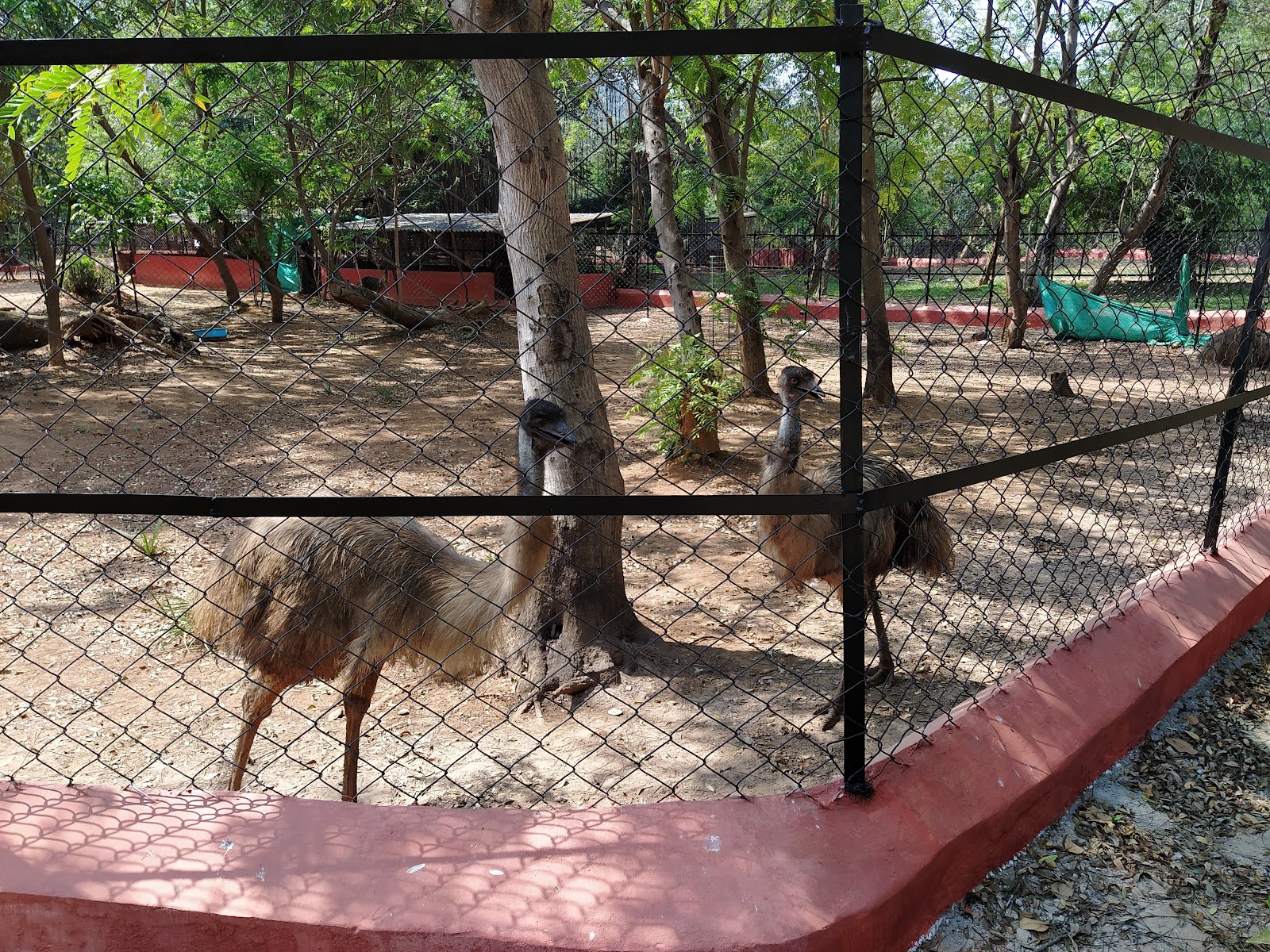 Indira Gandhi Zoological Park