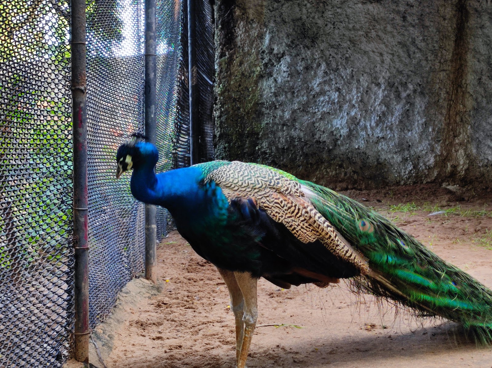 Indira Gandhi Zoological Park