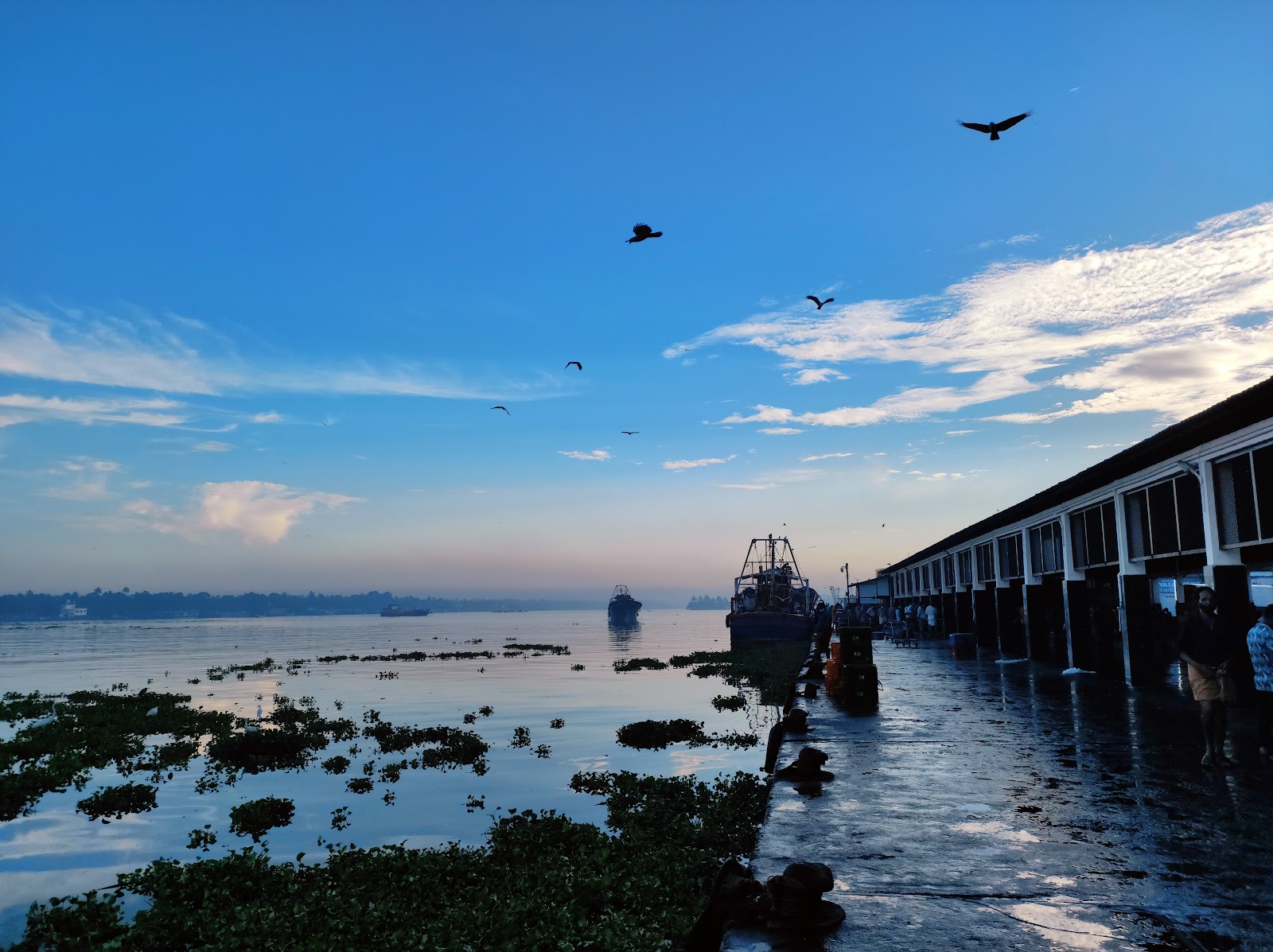 Munambam Fishing Harbour