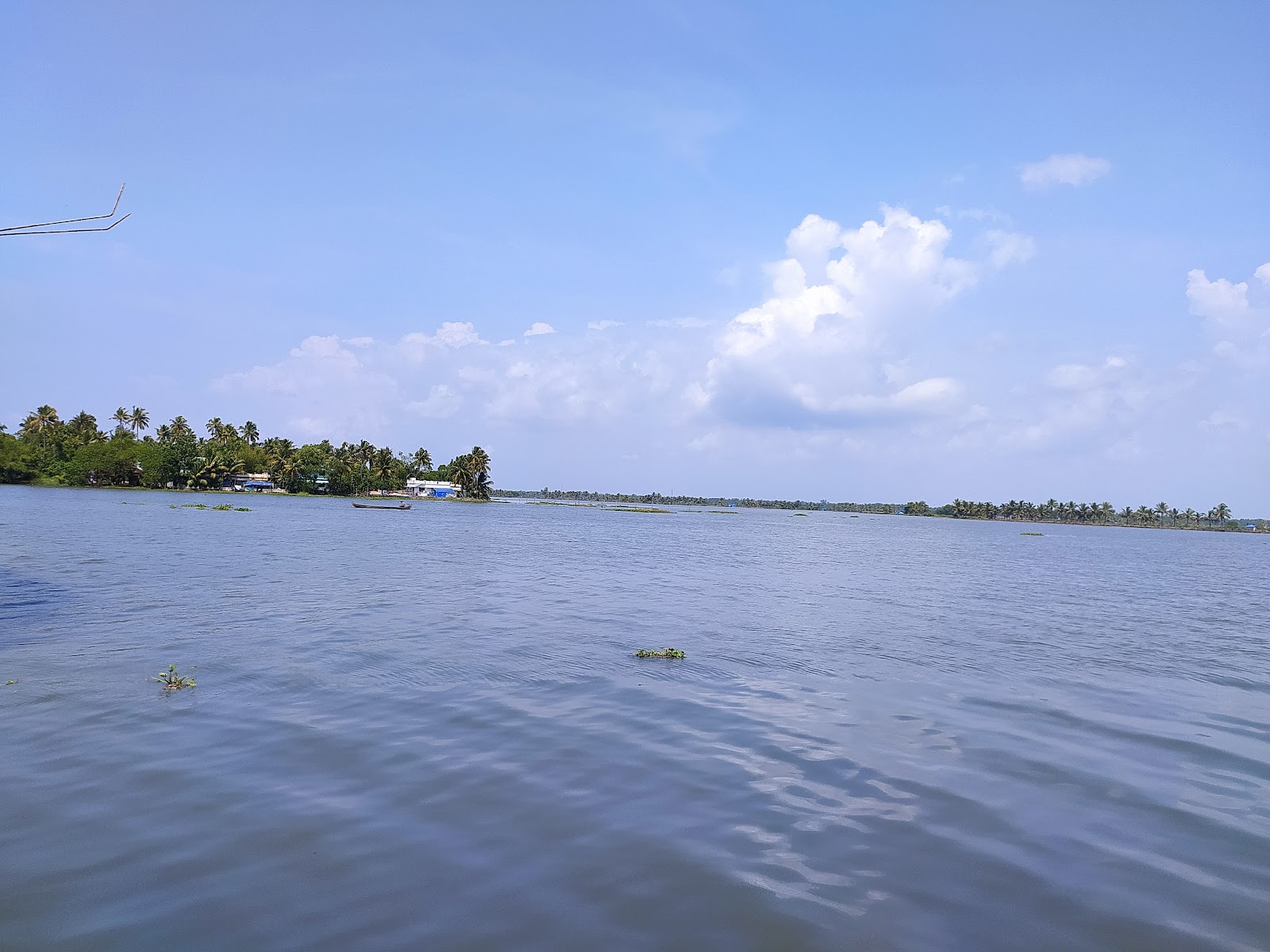 Veeranpuzha Backwaters